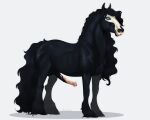  2020 anatomically_correct anatomically_correct_genitalia anatomically_correct_penis animal_genitalia animal_penis balls black_body black_hair black_tail blue_eyes digital_media_(artwork) draft_horse equid equine equine_penis erection feathering feral friesian fur genitals hair hooves horse huskii-s male mammal mane mask mottled mottled_genitalia mottled_penis penis pook_(nightdancer) simple_background skull_mask solo 