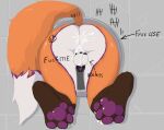 4_toes :3 absurd_res animal_genitalia animal_penis anthro backsack balls big_tail bodily_fluids body_writing brown_body brown_fur butt canid canine canine_genitalia canine_penis chastity_cage chastity_cage_only chastity_device chastity_device_only claws cum cum_from_ass cum_in_ass cum_inside cum_on_body cum_on_butt dipstick_tail feet fox free_use fur genital_fluids genitals hi_res hole_in_wall male mammal markings mochafox_(itsmochafox) nikita_vulpes nude orange_body orange_fur pawpads paws penis purple_body purple_fur purple_paws purple_penis red_fox solo tail tail_markings through_wall toes true_fox wearing_chastity_cage wearing_chastity_device white_body white_fur