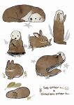  absurdres animal animal_focus brown_rabbit clam_shell clover commentary_request english_text floating four-leaf_clover green_leaf highres leaf lying no_humans on_back on_side original otter partially_submerged plant rabbit sakutake_(ue3sayu) sea_otter seashell seaweed shell sleeping sprout standing star_(symbol) water white_background 