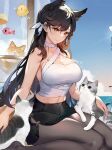  1girl animal animal_ears animal_on_lap atago_(azur_lane) azur_lane bare_arms bare_shoulders black_hair black_pantyhose black_skirt breasts brown_eyes cat cat_on_lap chinese_commentary choker commentary_request crop_top day extra_ears hand_on_animal hatoyama_itsuru large_breasts long_hair looking_at_animal manjuu_(azur_lane) midriff miniskirt mole mole_under_eye navel on_lap outdoors pantyhose parted_lips pencil_skirt petting shirt sitting skirt sky sleeveless sleeveless_shirt smile solo wariza white_shirt 
