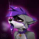1:1 anthro aroused aroused_face artist_name bodily_fluids collar cum cum_on_face ear_piercing femboy fosmin fur genital_fluids grey_body grey_fur hair hi_res koda_(raccoonkoda) looking_at_another male mammal piercing procyonid purple_body purple_eyes purple_fur purple_hair raccoon saliva solo text tongue tongue_out