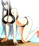 all_fours barefoot bikini breasts cleavage cleavage_cutout feet fura hair_over_breasts large_breasts long_hair looking_back open_mouth outdoors red_eyes selvaria_bles senjou_no_valkyria senjou_no_valkyria_1 side-tie_bikini silver_hair solo sports_bikini swimsuit turtleneck underboob very_long_hair wet wide_hips 