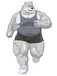  2022 absurd_res anthro black_nose bodily_fluids bottomwear bulge cellphone clothing grey_body headphones hi_res humanoid_hands kemono male mammal musclegut nipples peekeroro phone shirt shorts simple_background smartphone solo sweat topwear ursid 