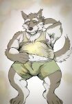  2022 anthro belly black_nose brown_body bulge canid canine canis clothing hi_res humanoid_hands kemono male mammal moobs navel nipples overweight overweight_male shirt solo topwear underwear wolf yazoe 