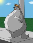  2011 belly big_belly canid canine canis cloud dessert doughnut doughnut_in_mouth feral food fur grey_body grey_fur hair hand_on_stomach hector_(hectorthewolf) hectorthewolf hi_res leaning leaning_against_pole leaning_back male mammal navel nude obese obese_feral obese_male outside overweight overweight_feral overweight_male paws smile solo standing standing_on_hind_legs sun wide_eyed wolf 