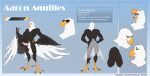  aaron_(war-bird) absurd_res accipitrid accipitriform anthro avian bald_eagle balls big_balls big_butt big_penis bird butt cocky eagle erection feathers genitals hi_res huge_balls huge_penis humanoid_genitalia male manly model_sheet muscular muscular_male penis peritian sea_eagle sexy_eyes smile solo tail_feathers talon_hands talons war-bird wings 