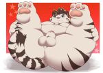  2022 anthro balls belly blue_eyes butt erection felid genitals hi_res kemono kusosensei licho_(tas) lifewonders male mammal moobs overweight overweight_male pantherine penis solo tiger tokyo_afterschool_summoners video_games white_body 