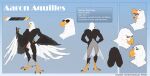  aaron_(war-bird) absurd_res accipitrid accipitriform anthro avian bald_eagle balls big_balls big_butt big_penis bird butt cocky eagle erection feathers flaccid genitals hi_res huge_balls huge_penis humanoid_genitalia male manly model_sheet muscular muscular_male penis peritian sea_eagle sexy_eyes smile solo tail_feathers talon_hands talons war-bird wings 