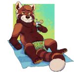  2022 ailurid anthro belly bottomwear brown_body clothing drinking guaxraccoon humanoid_hands male mammal red_panda shorts sitting slightly_chubby solo 
