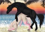  2020 animal_genitalia animal_penis anthro anthro_on_feral balls beach bent_over bestiality black_body black_hair black_tail bodily_fluids cum cum_drip cum_inside cum_on_penis digital_media_(artwork) dominant dominant_feral dominant_male draft_horse dream_merchant dripping duo equid equine equine_penis feral friesian genital_fluids genitals green_eyes hair hooves horse looking_back male male/male mammal mane mat_(mbh98) multicolored_body multicolored_hair open_mouth penis precum precum_drip seaside shoshana submissive submissive_anthro submissive_male two_tone_body two_tone_hair two_tone_tail water 