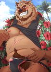 2022 anthro balls belly black_nose blush brown_body canid canine canis clothed clothing cloud domestic_dog erection erection_under_clothing genitals hi_res humanoid_hands kemono male mammal moobs nipples outside overweight overweight_male palm_tree penis plant pubes ryuta-h scar solo tree underwear 
