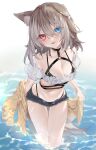  1girl :d absurdres animal_ears bikini bikini_under_clothes black_bikini blue_eyes breasts brown_hair cardigan choker dog_ears dog_girl dog_tail fang hasuki_rui highres indie_virtual_youtuber long_sleeves looking_at_viewer medium_breasts medium_hair micro_shorts o-ring o-ring_choker puffy_short_sleeves puffy_sleeves red_eyes sado_shinogu second-party_source short_sleeves shorts skin_fang smile swimsuit tail undressing virtual_youtuber water wet wet_hair 