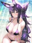  1girl animal_ears arms_behind_back bangs bare_shoulders beach bikini blush braid breasts cleavage covered_nipples dripping dungeon_and_fighter fox fox_ears fox_girl fox_tail highres large_breasts looking_at_viewer navel outdoors purple_hair sitting smile solo swimsuit tail thick_thighs thighs thong_bikini uonuma_yuu wet yellow_eyes 