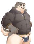 2022 anthro balls belly big_belly canid canine canis clothing domestic_dog ellie_saionji eyewear genitals glasses hi_res hoodie humanoid_hands kemono male mammal overweight overweight_male penis simple_background solo topwear underwear 