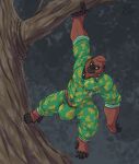  2022 anthro ape asinusadlyram big_bulge bone bone_necklace bottomwear brown_body bulge climbing_tree clothing dog_tags gorilla green_bottomwear green_clothing green_pants green_shirt green_topwear hanging_from_branch haplorhine hi_res jewelry jungle looking_away male mammal muscular muscular_anthro muscular_male necklace orange_eyes outside pants plant prehensile_feet primate shirt solo topwear tree 