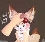  absurd_res ambiguous_gender anthro blush bodily_fluids canid canine colored_nails cum cum_in_mouth cum_in_side cum_inside cum_on_body cum_on_face cum_on_penis ear_piercing eyewear fennec fox genital_fluids genitals glasses headpat hi_res humanoid_genitalia male mammal nails penis piercing senz sitting wet wet_penis 