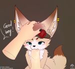  absurd_res ambiguous_gender anthro blowjob_face blush canid canine colored_nails ear_piercing eyewear fennec fox genitals glasses headpat hi_res humanoid_genitalia male mammal nails penis piercing senz sitting sucking wet wet_penis 