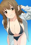  1girl absurdres alice_gear_aegis bangs bikini black_bikini blue_background blush breasts brown_eyes brown_hair character_request cleavage gradient gradient_background grey_shirt hand_in_own_hair highres large_breasts leaning_forward long_hair long_sleeves looking_at_viewer open_clothes open_shirt parted_lips shirt simple_background solo sweat swimsuit unpasu 