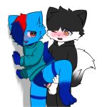  balls black_body black_fur blue_body blue_fur blue_hair blush bodily_fluids canid clothing duo felid female fur genital_fluids genitals hair hoodie male male/female mammal orange_eyes pussy_juice raised_leg red_eyes red_hair sweater topwear white_body white_fur young zetsuya06 