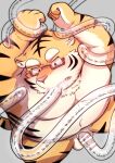  2022 anthro balls belly big_belly blush censored eyewear felid genitals glasses humanoid_hands i_0rai kemono male mammal moobs overweight overweight_male pantherine penis solo tentacles tiger 