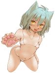  1girl ahoge animal_ears animal_hands bikini blue_hair blush breasts cat_ears cat_girl cat_tail collarbone furry hawthorn highres navel open_mouth original pawpads short_hair simple_background small_breasts solo swimsuit tail white_background white_bikini yellow_eyes 
