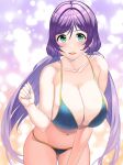  1girl bikini blue_nails cowboy_shot green_eyes highres long_hair looking_at_viewer love_live! love_live!_school_idol_project mizuno_kakeru purple_hair swimsuit toujou_nozomi twintails two-tone_bikini 