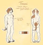  anthro brown_eyes butt canid canine canis claws color_swatch digitigrade domestic_dog english_text featureless_crotch fur gaikotsu hi_res male mammal model_sheet nude outline pawpads solo standing tan_body tan_fur tauski text toe_claws white_outline 