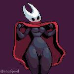  1:1 arthropod blush breasts cloak cloak_only clothed clothing clothing_lift dark_body digital_media_(artwork) fecharis female genitals hollow_knight hornet_(hollow_knight) mask mostly_nude no_underwear pixel_(artwork) pussy red_cloak signature simple_background simple_eyes snaif solo team_cherry video_games 