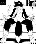 absurd_res anthro bandage bandaged_leg barbie_doll_anatomy black_and_white black_body black_fur book bookshelf bottle canid canine claws container digital_media_(artwork) dipstick_tail domestic_cat english_text exhausted fangs felid feline felis fluffy fluffy_tail folp fox fur furniture head_back hi_res holding_bottle holding_container holding_object holding_syringe hybrid ill inside leg_wrap male mammal markings masterkaput medicine medicine_bottle monochrome multicolored_body multicolored_fur neckwear nude on_sofa open_mouth paws scarf sharp_teeth shestyorka_(masterkaput) signature sitting slumped sofa solo spread_legs spreading syringe tail tail_markings teeth text two_tone_body two_tone_fur white_body white_fur white_tail_tip