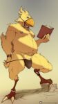 3_fingers 4_toes 4k 5_fingers 9:16 absurd_res anthro avian avian_feet barazoku beak bedroom_eyes belly biceps big_belly big_butt biped bird blue_eyes body_hair bottomwear briefs brown_clothing brown_underwear bulge butt butt_hair chest_hair chocobo claws clothed clothing digital_media_(artwork) elderly enjoying eyebrows fangs feathers feet final_fantasy fingers from_front_position fur half-closed_eyes hand_on_hip hi_res huge_butt light light_body looking_at_viewer looking_pleasured lustful_gaze male manly mature_anthro mature_male middle_aged moobs multicolored_body multicolored_fur musclegut muscular muscular_male narrowed_eyes naughty_face nipples nude_anthro nude_male overweight overweight_anthro overweight_male overweight_sub pants plantigrade pose pouting presenting presenting_hindquarters pubes romantic seductive simple_background slightly_chubby smile smiling_at_viewer solo square_enix tail tail_feathers talons teeth text thick_tail thick_thighs toe_claws toes topwear true_pengon two_tone_body two_tone_fur underwear underwear_only undressing undressing_self url vest white_body white_fur white_light wide_hips widescreen yellow_body yellow_feathers