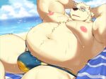 4:3 anthro beach bear blue_eyewear blue_glasses brown_nose cloud eyewear fur glasses hi_res leib_(tas) lifewonders male mammal musclegut muscular navel nipples pink_nipples polar_bear red_tongue ruoain sand sea tokyo_afterschool_summoners tongue two_tone_speedo ursine water white_body white_fangs white_fur