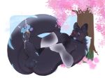 against_natural_surface against_surface against_tree anthro anus autofootjob big_penis big_tail black_body black_fur black_penis blue_pawpads blue_tongue bodily_fluids cherry_blossom clothing cum cum_drip cum_on_penis cumshot domestic_cat dripping ejaculation eyebrow_slit eyebrows eyes_closed facial_piercing feet felid feline felis flower foot_fetish foot_play foreskin fur genital_fluids genitals glowing glowing_markings glowing_tongue hindpaw humanoid kazzy_(kazzythewolf) kazzythewolf leg_warmers legwear lip_piercing lying male mammal markings masturbation mismatched_genitalia mismatched_penis muscular muscular_anthro muscular_male on_back outside pawpads paws pecs penile_spines penis piercing plant prunus_(flower) purple_pawpads solo tail throbbing tongue tongue_out translucent translucent_clothing tree vein veiny_penis