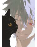  1boy absurdres animal black_cat border cat closed_mouth grey_hair hair_between_eyes highres k_and_s_53 male_focus nagisa_kaworu neon_genesis_evangelion pillarboxed red_eyes short_hair simple_background smile solo white_background white_border 