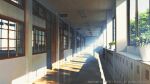  commentary_request copyright_notice day fluorescent_lamp indoors locker no_humans original plant potted_plant scenery school shadow waisshu_(sougyokyuu) window 