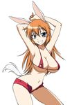  animal_ears armpits bikini_top breasts bunny_ears charlotte_e_yeager cleavage eyebrows_visible_through_hair grin large_breasts long_hair navel onizuka_takuto open_fly short_shorts shorts sideboob smile solo strike_witches tail underboob unzipped world_witches_series 
