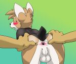 anthro anus backsack balls blush butt canid canine canis color_edit colored disembodied_hand domestic_dog genitals hand_on_butt herding_dog housepets! king_(housepets!) looking_back male mammal pastoral_dog perineum pink_anus rear_view spread_anus spread_butt spreading taro_bubbletea third-party_edit welsh_corgi