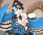  absurd_res accessory anthro avian beak bedroom_eyes big_breasts bird blue_body blue_eyes blue_feathers breasts canid canine clothed clothing columbid curvy_figure dove feathered_wings feathers female flower flower_in_hair fox gryphon hair hair_accessory hi_res hybrid inno-sjoa looking_at_viewer lulu_(zerach) mammal mostly_nude mythological_avian mythology narrowed_eyes neck_tuft overweight overweight_anthro overweight_female panties panties_only plant rose_(flower) seductive solo thick_thighs topless tuft underwear underwear_only undressing voluptuous wide_hips wings womb_tattoo 