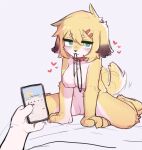  &lt;3 accessory anthro bedroom_eyes blonde_hair canid canine canis circle_eyebrows collar crayon_(artist) domestic_dog eyebrows female first_person_view fur genitals hair hair_accessory hairclip mammal narrowed_eyes nipples offscreen_character petplay pussy roleplay seductive simple_background sitting tail_motion tailwag wariza white_background yellow_body yellow_fur 