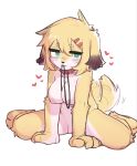  &lt;3 accessory anthro bedroom_eyes blonde_hair canid canine canis circle_eyebrows collar crayon_(artist) domestic_dog eyebrows female fur genitals hair hair_accessory hairclip hi_res mammal narrowed_eyes nipples petplay pussy roleplay seductive simple_background sitting solo tail_motion tailwag wariza white_background yellow_body yellow_fur 