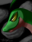  2013 ambiguous_gender black_background brown_eyes feral generation_3_pokemon green_body grey_background grovyle looking_ahead matchaghost multicolored_body nintendo pokemon pokemon_(species) red_body signature simple_background solo two_tone_body video_games yellow_sclera 