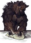  anthro canid canine canis claws dough fur hi_res male mammal muscular muscular_anthro muscular_male nmvsolidus pecs solo were werecanid werecanine werewolf wolf 