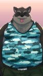  2022 absurd_res anthro belly big_belly black_nose clothing eyes_closed hi_res iavan male mammal overweight overweight_male procyonid raccoon shirt solo topwear 