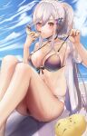  1girl azur_lane bikini blue_butterfly blue_gemstone blue_sky braid breasts bug butterfly butterfly_hair_ornament cafenami come_hither crown_braid doughnut dunkerque_(azur_lane) dunkerque_(summer_sucre)_(azur_lane) feet_out_of_frame food front-tie_bikini_top front-tie_top gem grey_hair hair_between_eyes hair_ornament highres looking_at_viewer manjuu_(azur_lane) medium_breasts official_alternate_costume outdoors ponytail pulled_by_self purple_bikini red_eyes sky solo swimsuit wet 