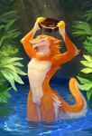  absurd_res anthro bowl chest_tuft container corzh77 featureless_crotch fluffy fluffy_tail fur glistening glistening_eyes hi_res holding_bowl holding_container holding_object male mouth_closed neck_tuft nipples nude orange_body orange_fur outside partially_submerged sergal solo spring standing teeth tuft unsigned water wet wet_body wet_fur white_body white_fur yellow_body yellow_eyes yellow_fur 