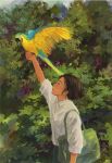  1girl animal animal_on_arm bird bird_on_arm blue-and-yellow_macaw macaw nature original outdoors parrot plant short_hair yeyuan33 