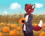  absurd_res ambiguous_gender anthro autumn black_body black_ears black_fur black_nose black_paws canid canine clothing corn digital_media_(artwork) floppy_ears fluffy fluffy_tail food fox fruit fur hair hi_res hoodie inner_ear_fluff jesam_(jesam) mammal multicolored_body multicolored_fur plant pumpkin pumpkin_patch purple_eyes red_body red_fox red_fur red_hair solo spycyshark topwear tuft white_body white_ear_fluff white_fur 