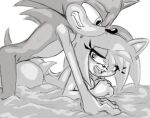 amy_rose anthro bodily_fluids doggystyle duo eulipotyphlan female from_behind_position hedgehog hi_res lewdsharx male male/female mammal sega sex sonic_the_hedgehog sonic_the_hedgehog_(series) sweat 