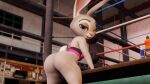  16:9 3d_(artwork) anthro bedroom_eyes bottomless bra clothed clothing digital_media_(artwork) disney female fighting_ring gym hi_res judy_hopps lagomorph leporid looking_at_viewer looking_back mammal narrowed_eyes rabbit seductive solo sports_bra thick_thighs twintails3d underwear widescreen zootopia 