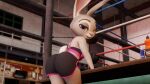  16:9 3d_(artwork) anthro bedroom_eyes bottomwear bra clothing digital_media_(artwork) disney female fighting_ring gym hi_res judy_hopps lagomorph leporid looking_at_viewer looking_back mammal narrowed_eyes rabbit seductive shorts solo sports_bra thick_thighs twintails3d underwear widescreen zootopia 