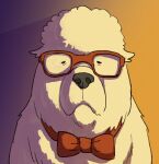  bond_(spy_x_family) bow bowtie dog endou_tatsuya franky_franklin glasses great_pyrenees highres no_humans red-framed_eyewear red_bow red_bowtie spy_x_family traditional_bowtie 